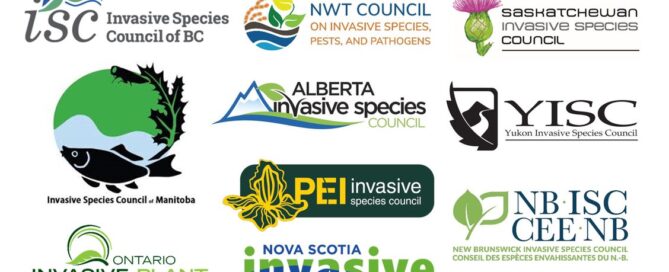 CCIS All Chapters Logos