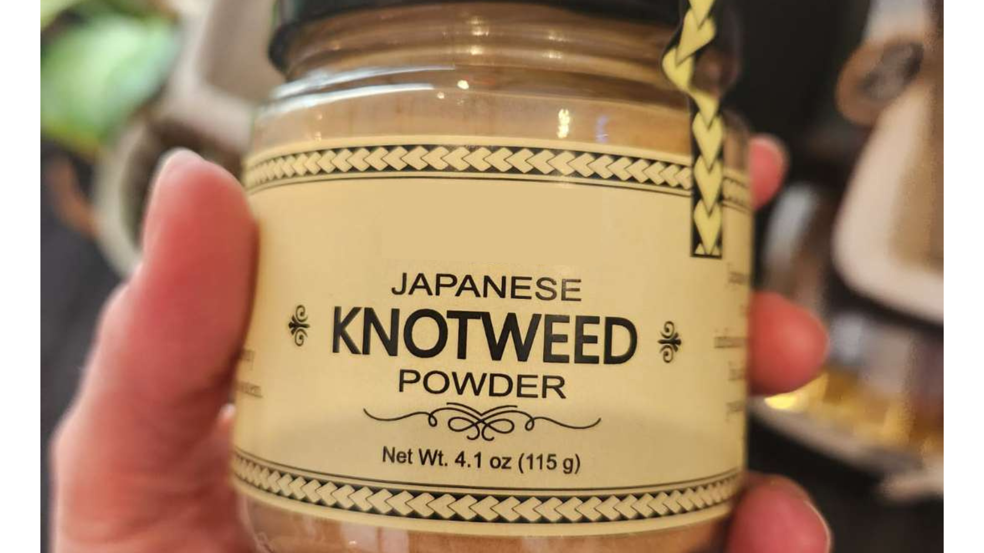 Image of a jar of powdered Japanese Knotweed for sale.