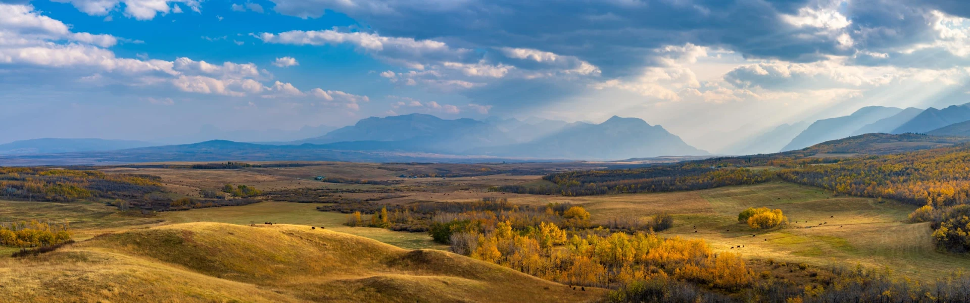 Prairie Waterton Lakes National Park