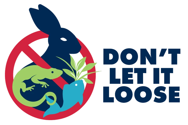 The Don't Let It Loose program Logo