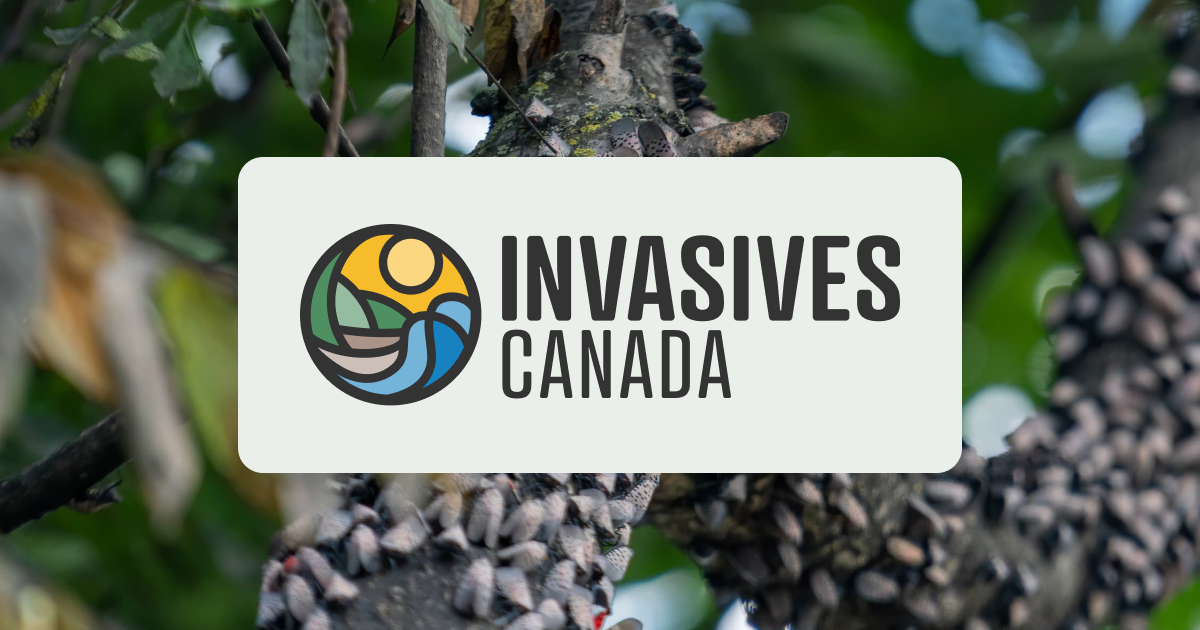 Canadian Council on Invasive Species logo