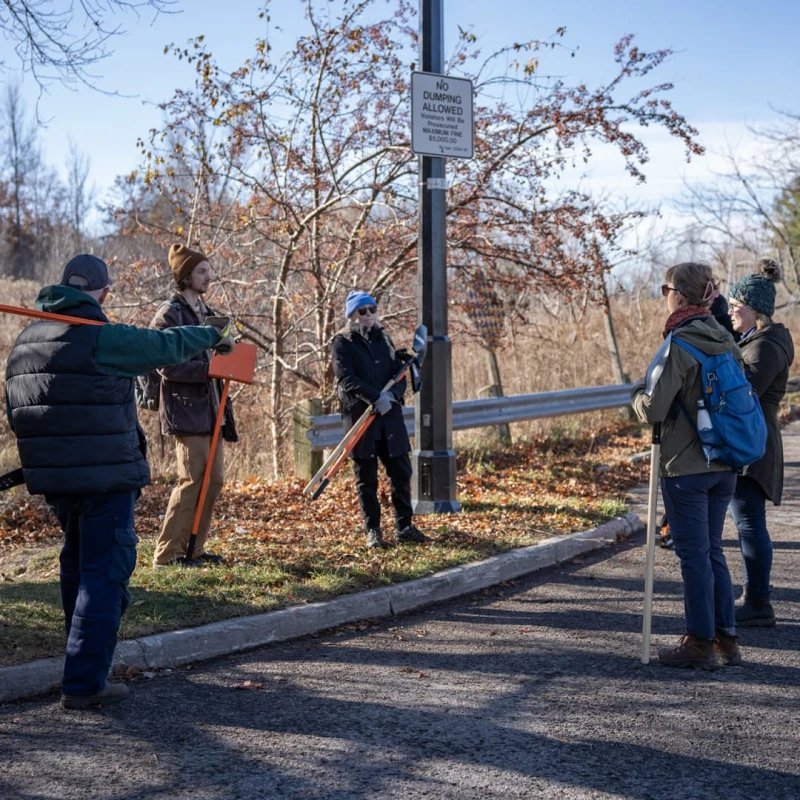 Group of people reporting suspected invasive species