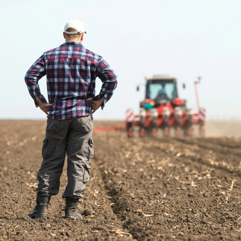 Farmer standing in a field