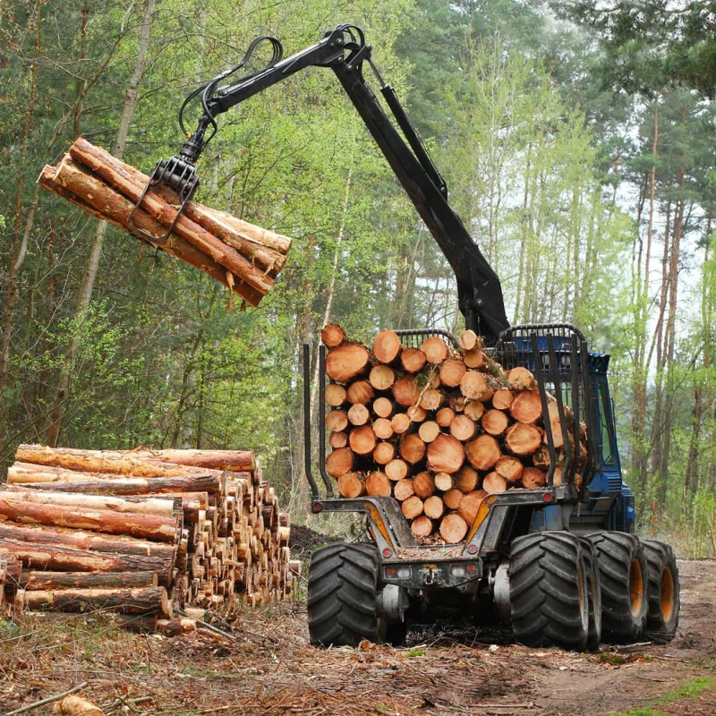 logging machine with cut logs