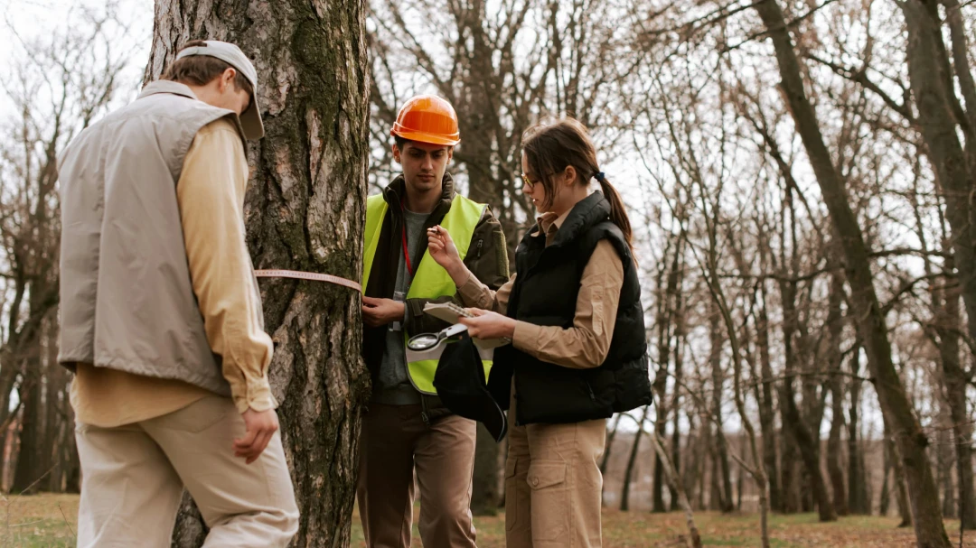 People examining a tree