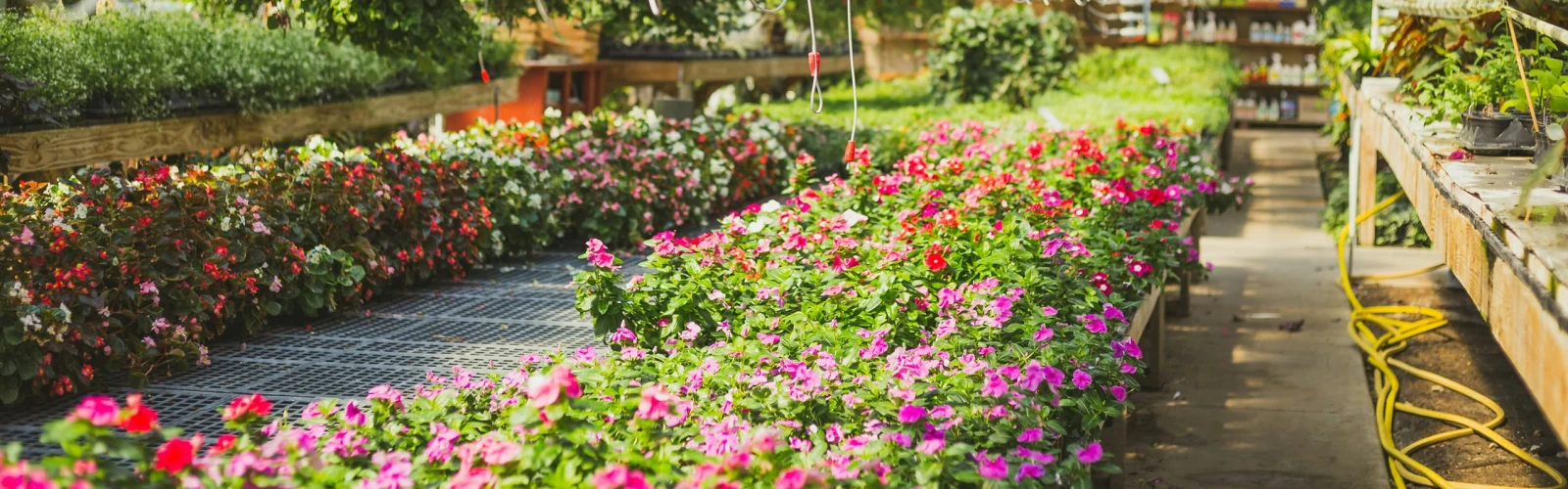 Garden Centre