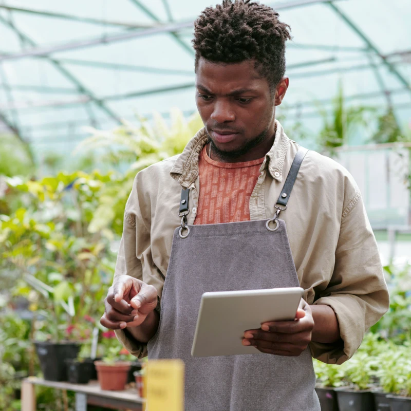 Person in a greenhouse