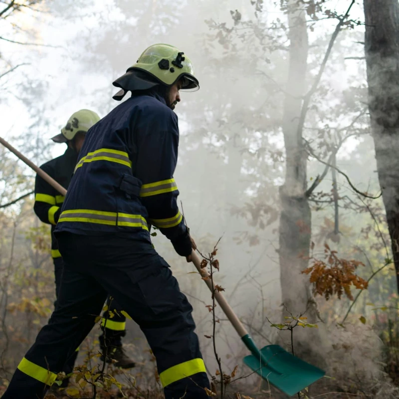 Person helping put out a forest fire