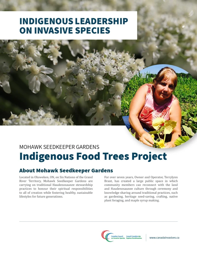 Indigenous species article