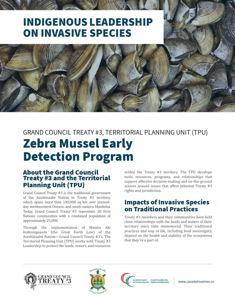 ccis_indigenous_species_zebra_mussels_1080x1398_squoosh_1 Zebra mussels article