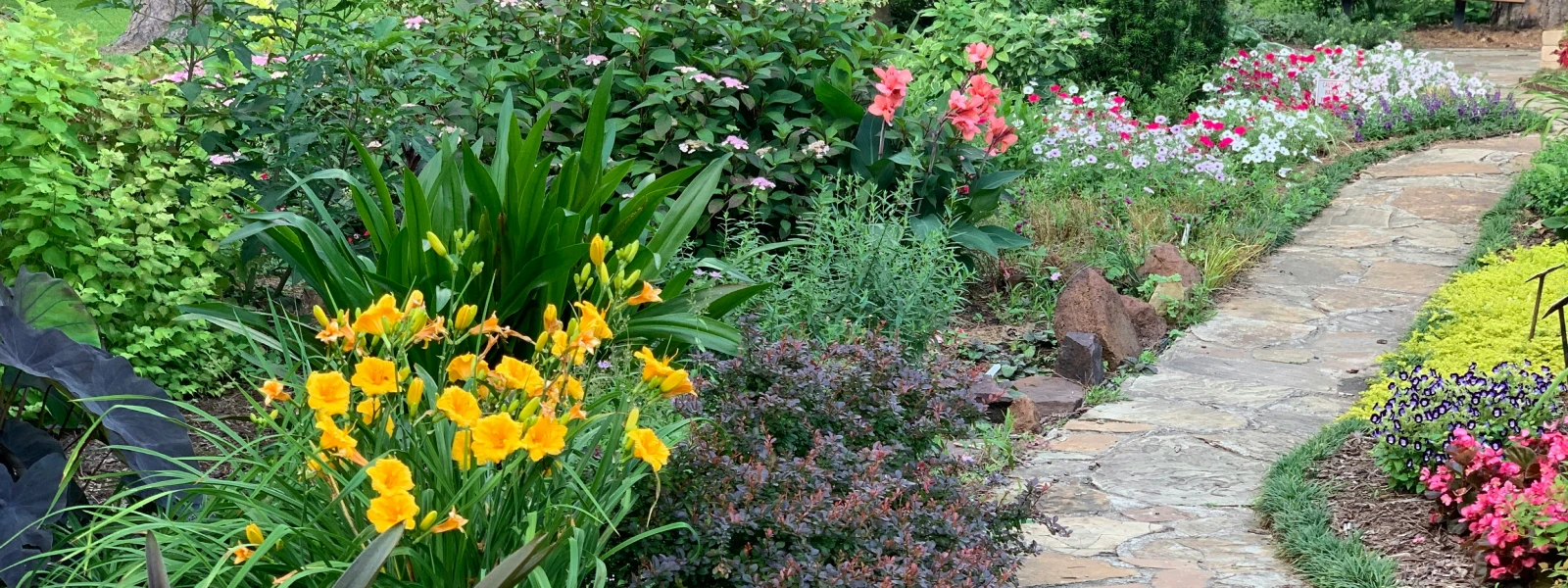 Garden full of flowers with a path running through it