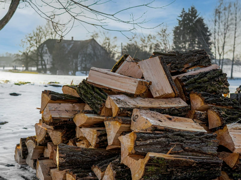 carmen_demlova_f70mv8f5o9o_unsplash_1 A pile of chopped fire wood with a house in the snow in the distance behind