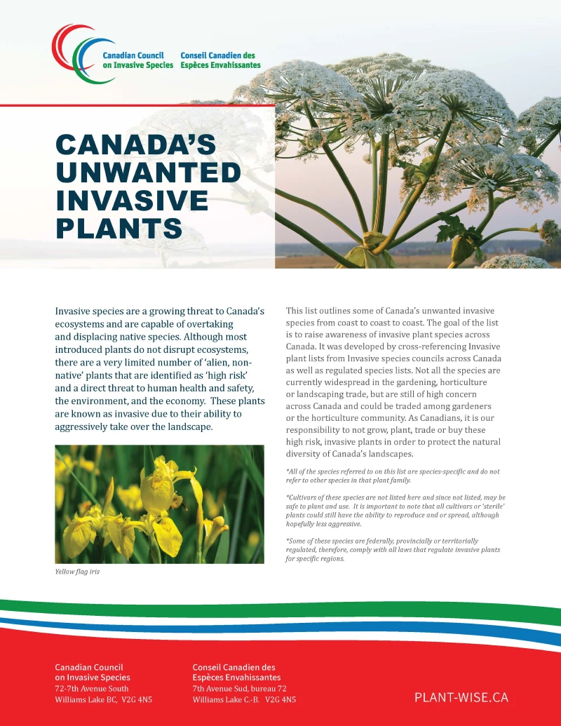 CCIS unwanted plan list PDF cover