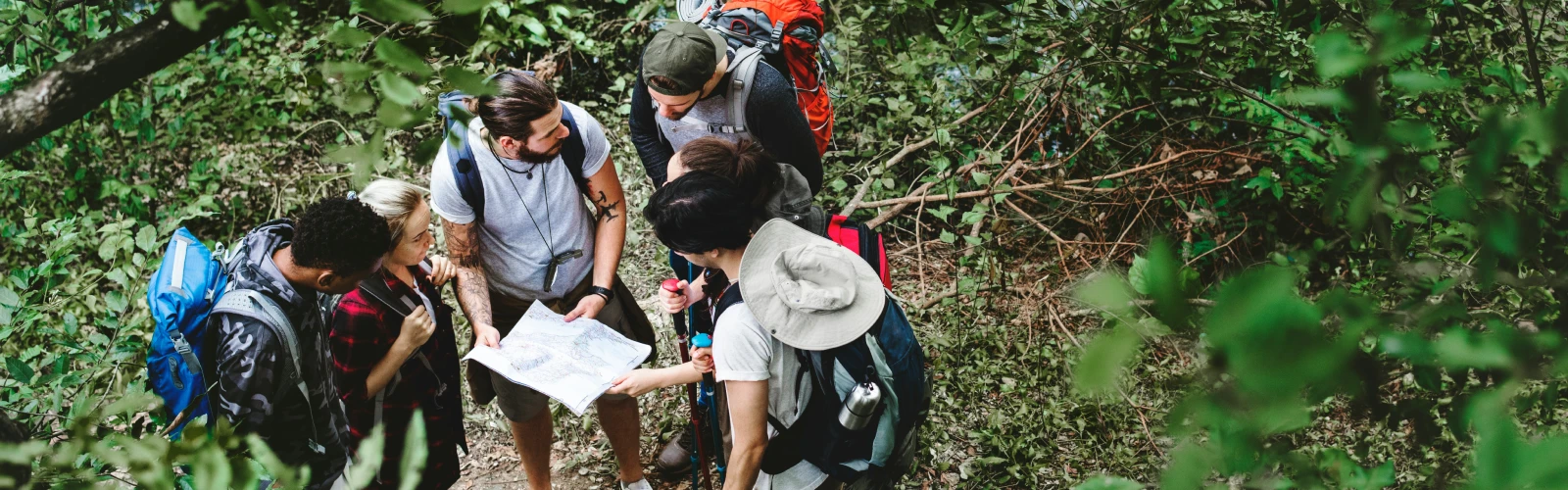 A group of hikers are stopped in the woods looking at a map