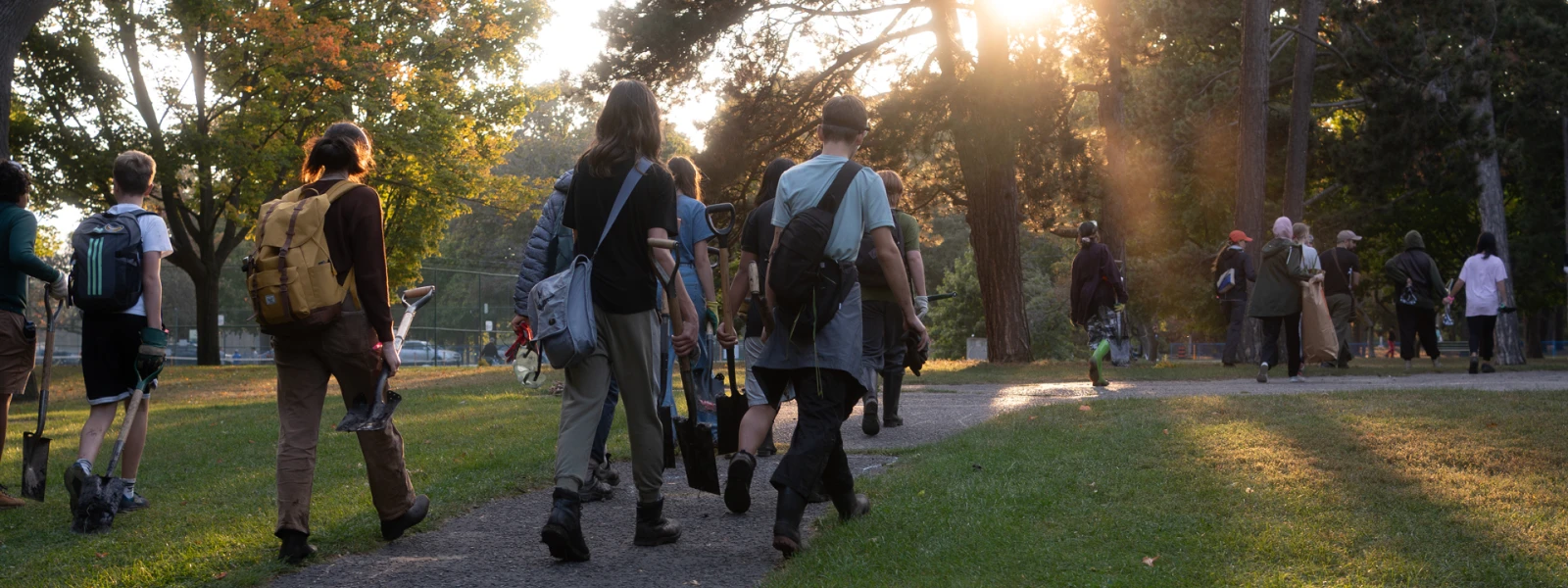 A group of young adults walking along a path with shovels towards a wooded area