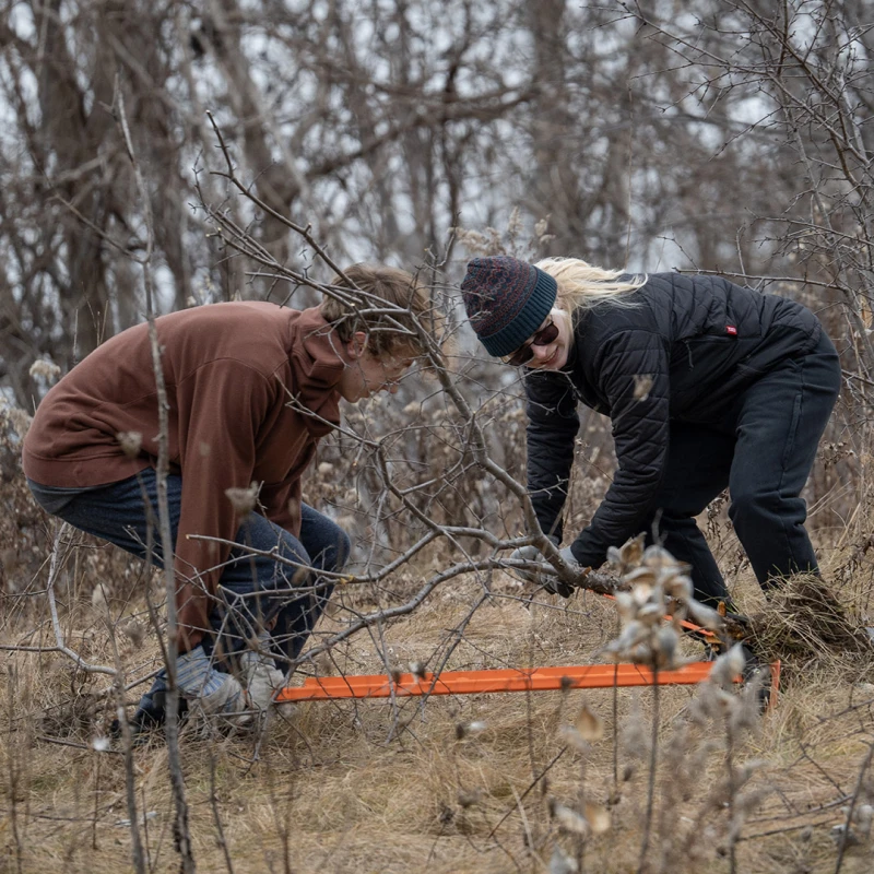 A man and woman digging up roots in the outdoors