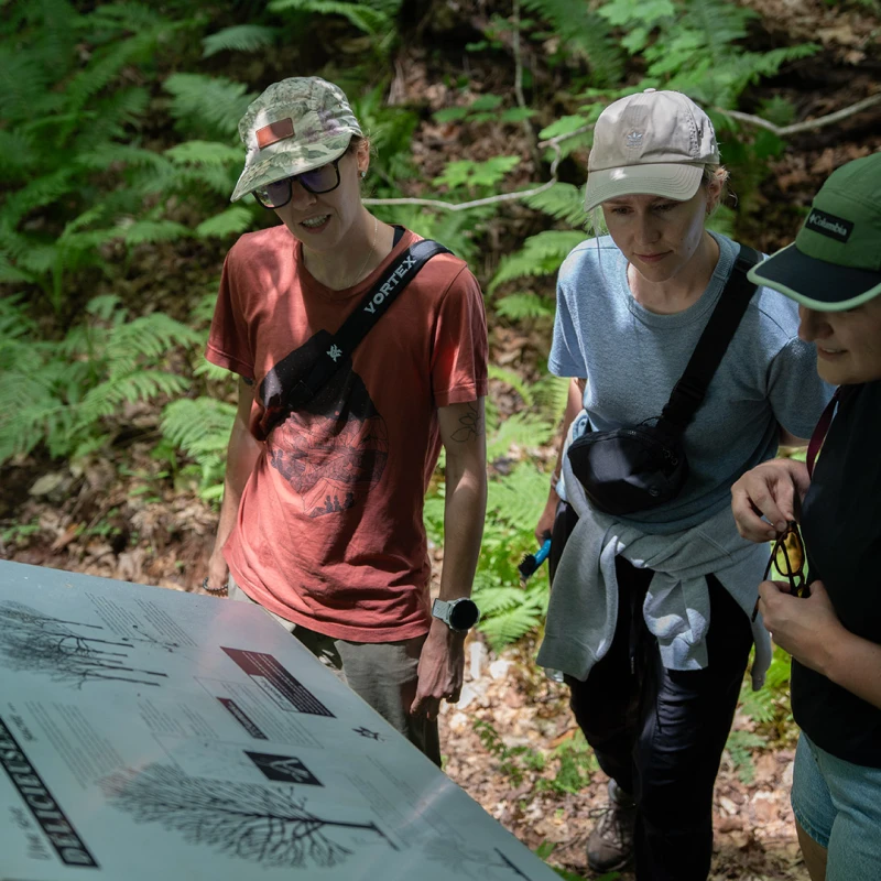 Three people in caps reading a plaque in a wooded area