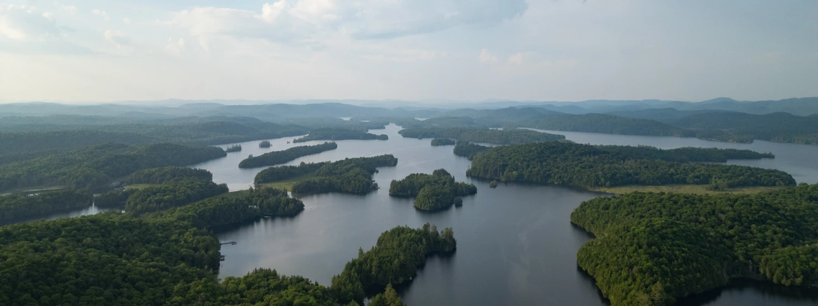 Birds eye view of waterways in amongst lush green areas