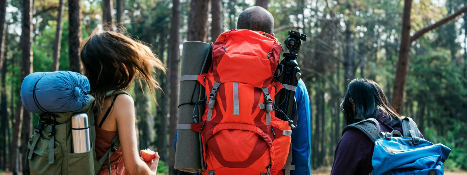 Three people with hiking backpacks walking into the woods