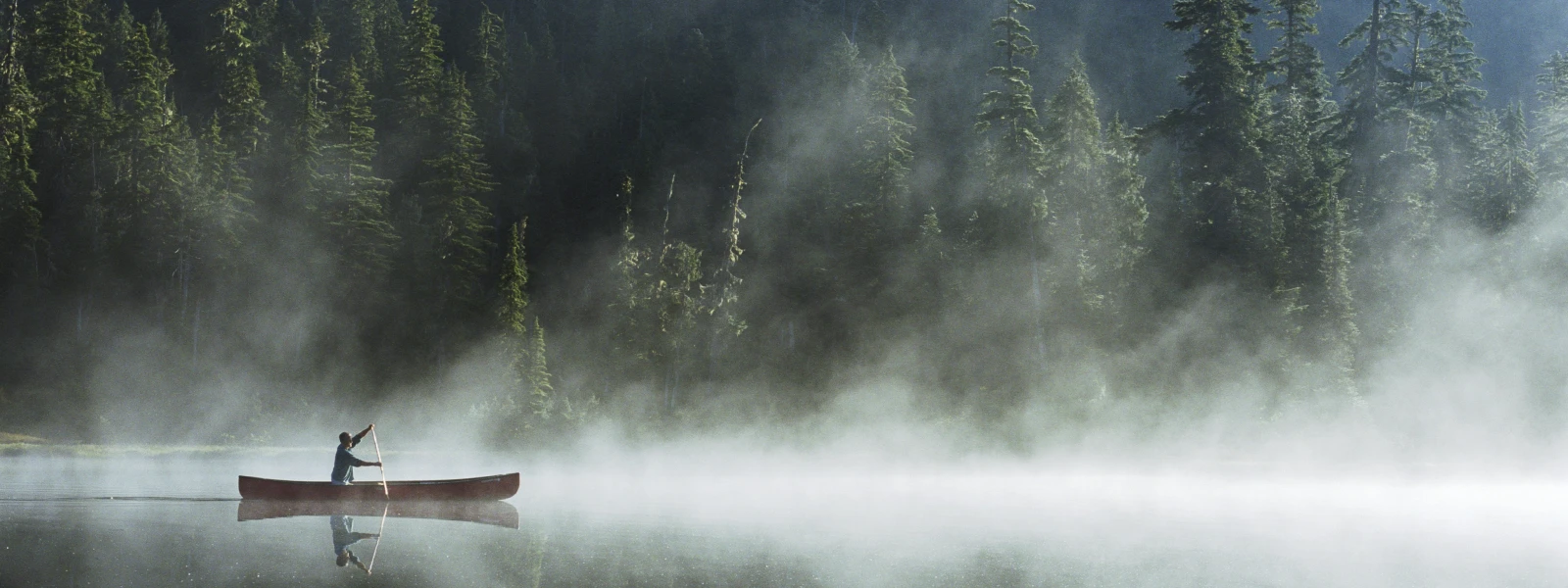 Person rowing a kayak through a mist covered lake with tall trees in the background