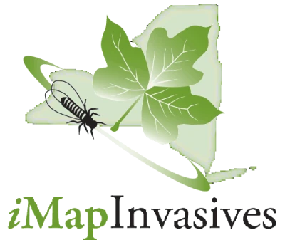 iMap Invasives logo