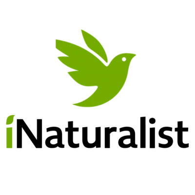 iNaturalist logo