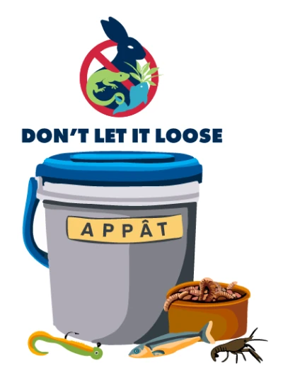 invasives_canada_dont_let_it_loose_bait_en_1x Don't let it loose bait sticker