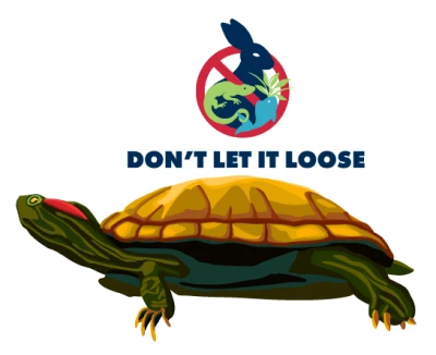 invasives_canada_dont_let_it_loose_turtle_en_1x Don't let it loose turtle sticker
