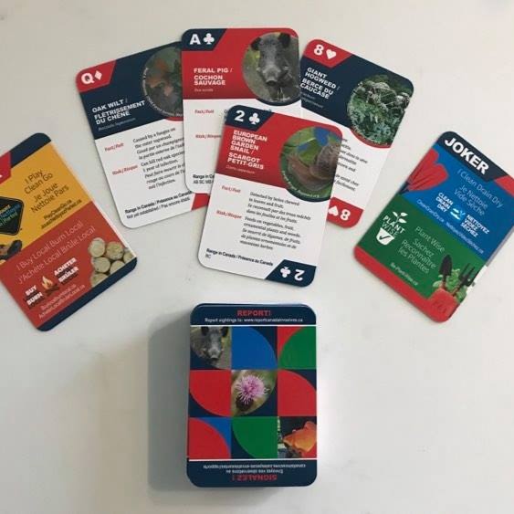 Invasive_Species_Playing_Cards